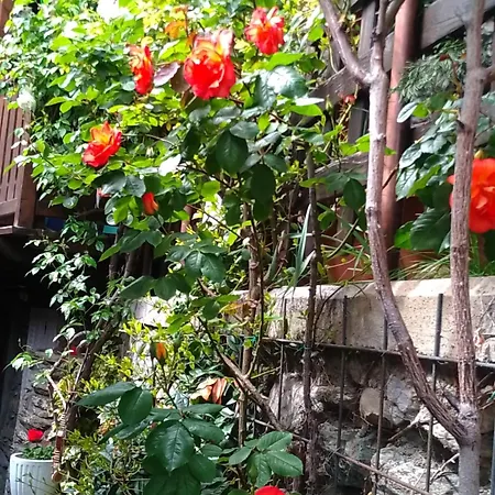 Per 2 Persone Con Il Cuore In Relax Sarre