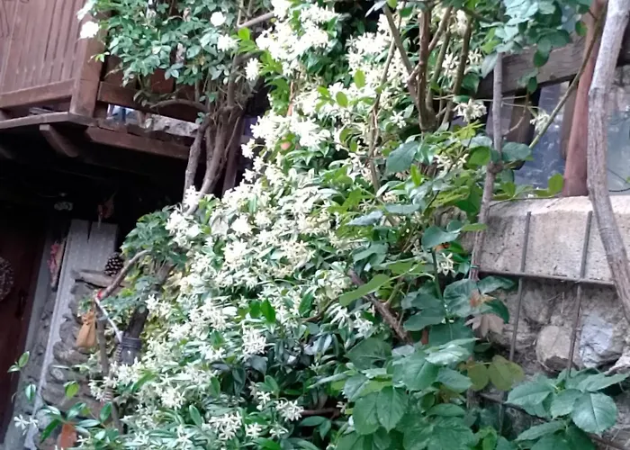 בית הארחה Per 2 Persone Con Il Cuore In Relax Sarre